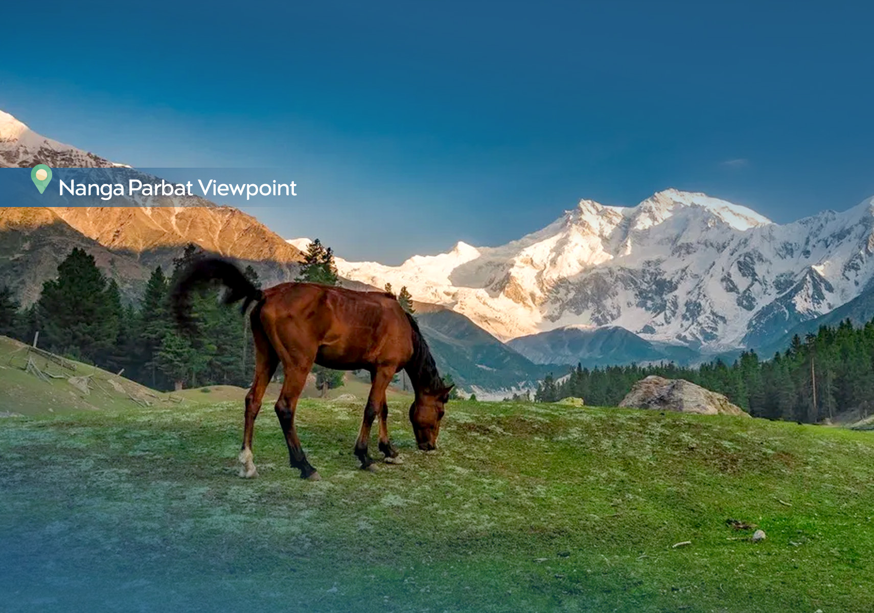 template_thumbnail1200X1710